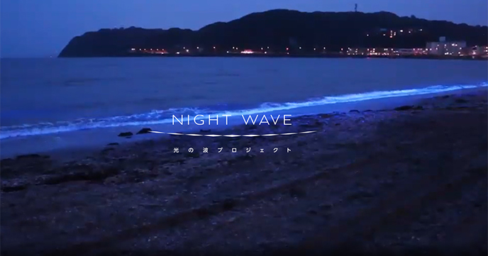 NIGHT WAVE～光の波プロジェクト～