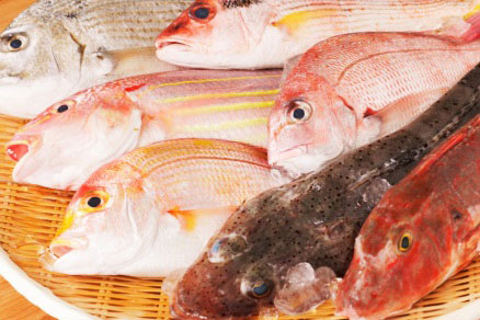 JR東日本、「エキュート品川」で珍しい魚を事前予約で受け取れる鮮魚店など2店舗を期間限定で展開
