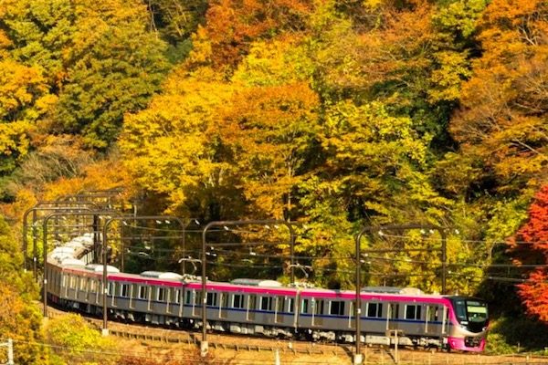 京王電鉄、臨時座席指定列車「Mt.TAKAO号」運行　高尾山の紅葉シーズンに