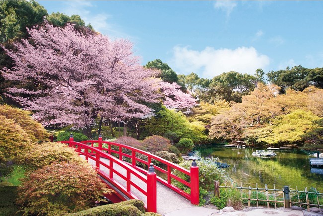 ホテルニューオータニ、「春のおこもりプラン」発売　日本庭園で花見とシャンパン