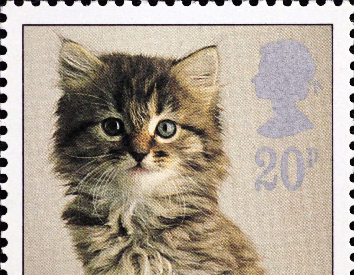 猫の切手の総選挙、美猫ブサカワ大混戦