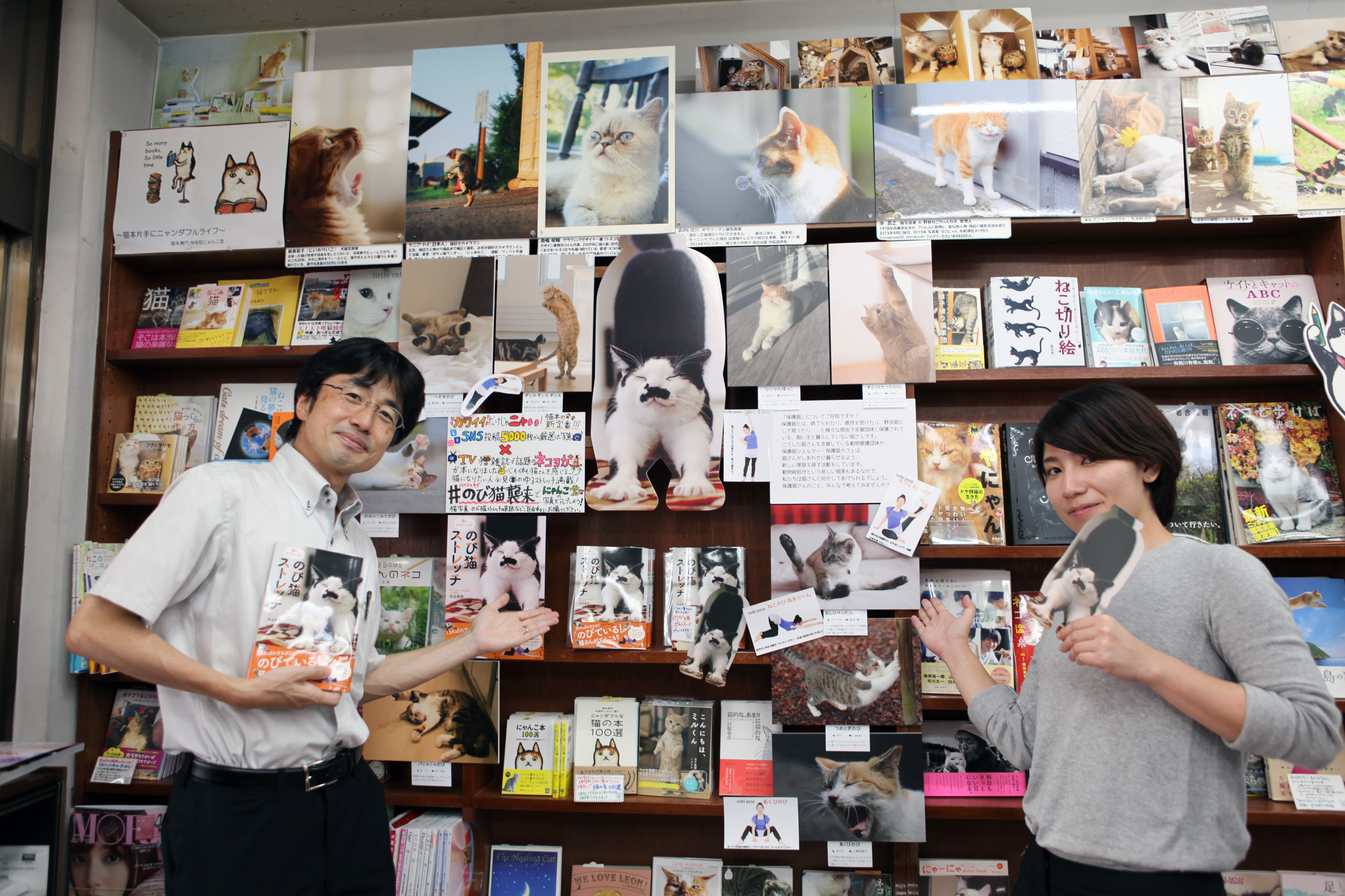 のび猫写真が書店に集結、神保町にて9月8日までパネル展が開催