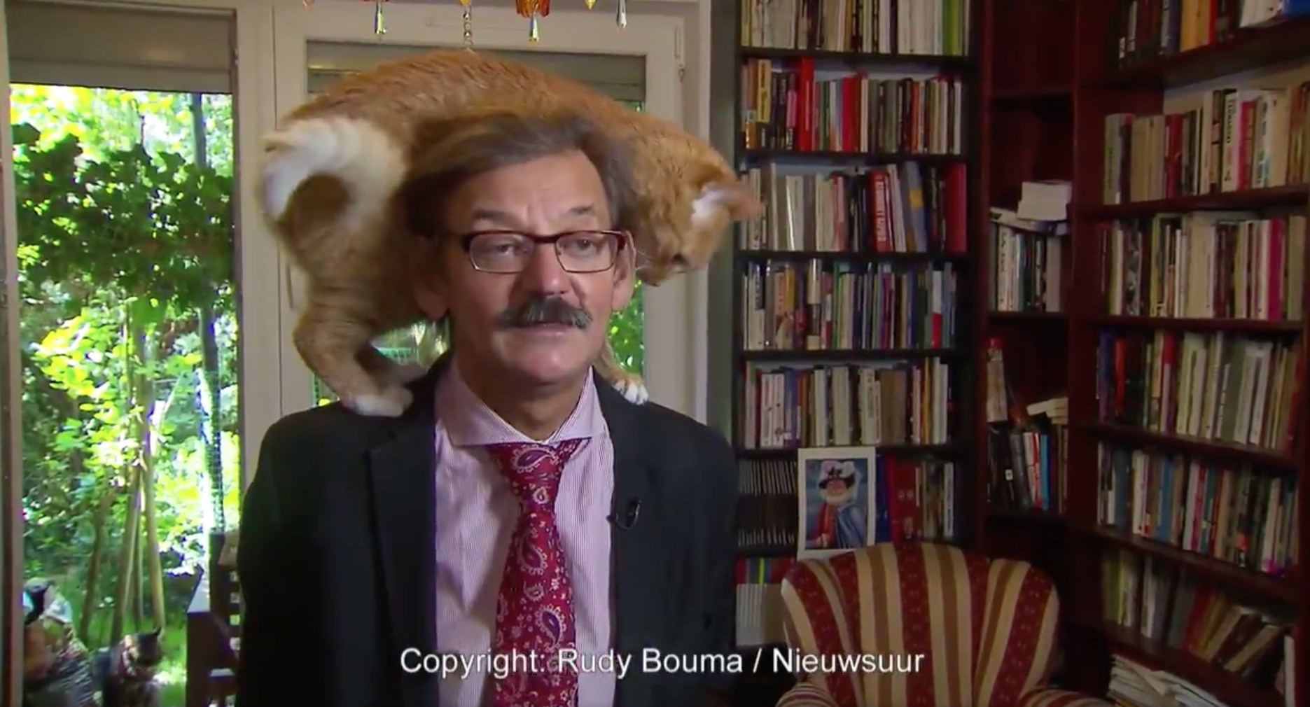 インタビュー中の主の肩に飛び乗る猫、よく見りゃまだいるあと2匹