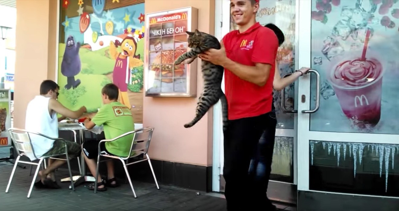 マックの前で開放求めて横たわる猫、店員笑顔の実力行使
