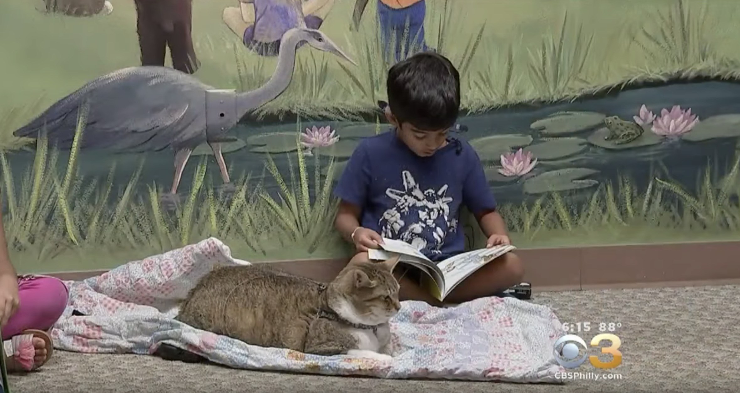 図書館で子どもたちから大人気、読み聞かせられ役の猫