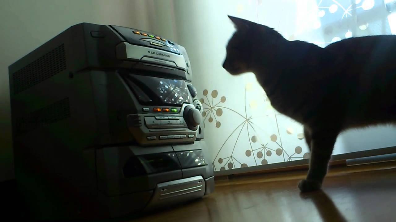 懐かしのCDコンポと戦う猫、5CDチェンジャーに翻弄される